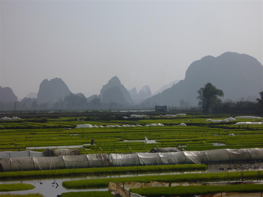 Paysage de montagnes escarpées, rizières inondées: le Vietnam est un pays au ras de l'eau, en ce moment c'est la saison sèche, qu'est-ce que ça doit être à la saison de la mousson !
